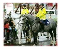 Garda Mounted Unit 
on the streets of Cork